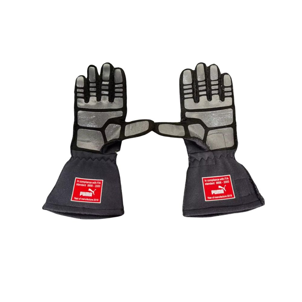 Max Verstappen 2018 F1 Racing Gloves